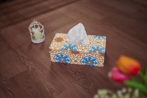 Tissue Box Cover